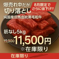 【8月限定セール】高級焼肉の切り落とし純国産但馬血統黒毛和牛筋なし5kg送料無料 8月限定セール】高級焼肉の切り落とし純国産但馬血統黒毛和牛筋