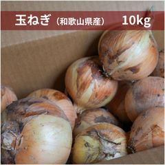 玉ねぎ 10kg 和歌山県産 生 ふぞろい たまねぎ onion 250