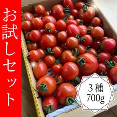 ３種のトマト盛り合わせ！お試しサイズ！コンパクト便入るだけ！