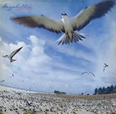高中正義　seychelles LPレコード シティポップ　山下達郎 高中正義 – Seychelles | Releases | Discogs