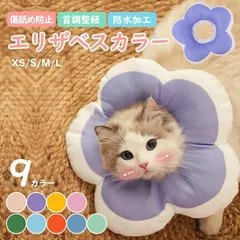 犬と猫の治療ガイド 私はこうしているVol.2消化管 診療のミライ、変わるガイド「犬と猫の治療ガイド」私はこうして
