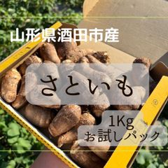 【本場】【お試し】山形県酒田市産　里芋　1Kg【さといも】