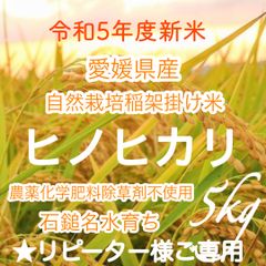 クール便配送[農薬、化学肥料不使用］旬の野菜詰め合わせセット 60