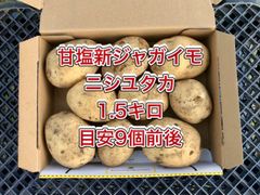 【鹿児島産】甘塩新ジャガイモ箱込み1.5キロ^_^