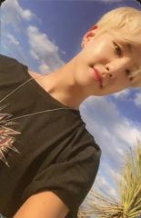 Item thumbnail for item 2320909c-fcfb-43f4-afdf-72ce9deb54bd