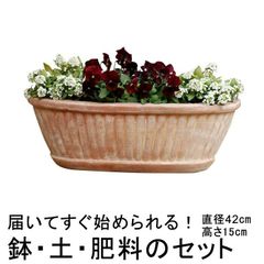 【新品】植木鉢・土・肥料のセット 直径42cm 縦縞入り だ円型 素焼き鉢 6リットル と培養土と鉢底石と鉢底ネットと肥料のセット プランター テラコッタ 鉢 おしゃれ