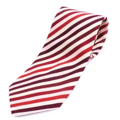 SALVATORE FERRAGAMO シルクネクタイ ワインレッド