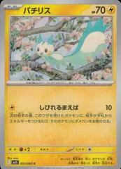 033/063/M1S/B/C パチリス