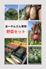 【あーやんさん専用】野菜セット