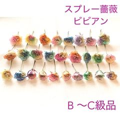 C級品~極小染め薔薇MIXセット - メルカリShops