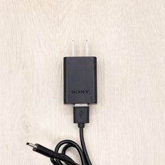 SONY AC-UUD12 ソニー USB ACアダプター ビデオカメラ デジカメ デジタルカメラ 一眼レフ ミラーレス α1 α9 α7 など 充電器 チャージャー 充電ケーブル データ転送 データ転送ケーブル 0703-1335
