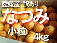 【送料無料】　愛媛産　なつみ　　ご家庭用　Sサイズ　約4ｋｇ　柑橘　南津海