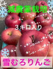 減農薬栽培山形県東根市産貯蔵までもが自然に♪雪むろりんご３kパック詰め13玉