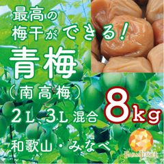 青梅　南高梅　和歌山県　みなべ産　8kg　2Lサイズ,3Lサイズ 混合　梅干し作りに　【発送予定6月上旬】