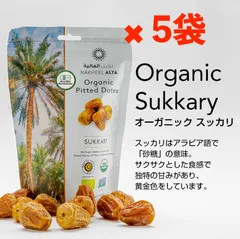 サウジアラビア産アソートデーツ ハニー・ウー・デーツ 500g サウジアラビア産 ドライフルーツ
