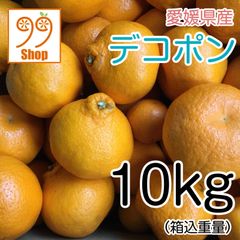 愛媛県産 デコポン 10kg 1999円 訳あり家庭用 柑橘