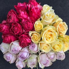 鮮度抜群‼️ 《切り花 ・生花 》おまかせミックス 30㎝SMサイズ！30本