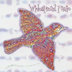 2024年最新】Widespread Panicの人気アイテム - メルカリ