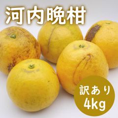 河内晩柑 訳あり 4kg 晩柑 ご家庭用 箱買い 柑橘 みかん フルーツ 果物 産地直送 愛媛県産 母の日 父の日 プレゼント