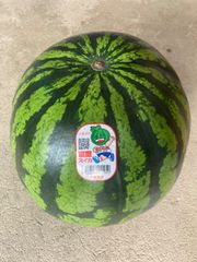 幻のメロン ナイルメロン 2L 5玉 千葉県産 送料込み - メルカリ