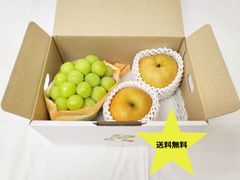シャインマスカット・梨（南水）×2玉　旬のフルーツ詰め合わせ　ギフトセット