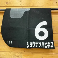 2025年最新】ゼッケン 競馬の人気アイテム - メルカリ