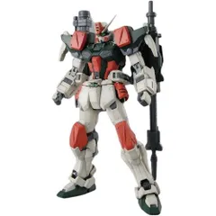 2025年最新】1/100 MG バスターガンダム 「機動戦士ガンダムSEED」の 