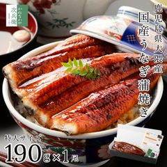 母の日 ギフト 鹿児島 大隅産 国産 うなぎ 特大 約190g 【ギフト対応可】お歳暮 お中元 無頭 冷凍 鰻 蒲焼 プレゼント 土用 丑の日【C配送：冷凍】