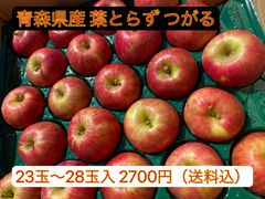 【訳あり】青森県産☆葉とらず つがる☆りんご 小ぶり