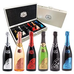 エンジェル エクラクロメ アタッシュケース 5本セット シャンパン