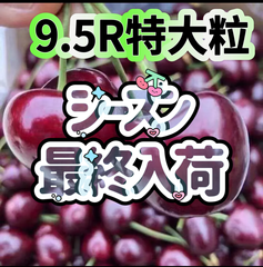 シーズンラスト入荷〜アメリカンチェリー　さくらんぼ　チェリー　箱込み1kg