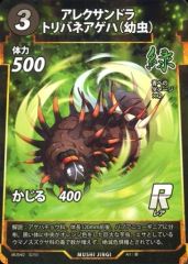 【中古】アニメ系トレカ 32/55[R]：アレクサンドラトリバネアゲハ(幼虫)