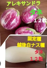 紫ナスと白ナス19kg箱込み（2種類）