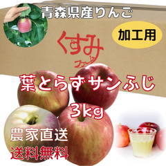 青森県産りんご　葉とらずサンふじ　加工用3kg