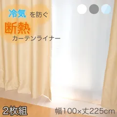 断熱カーテンライナー ビニール 100cmx225cm 採光タイプ 遮光タイプ 断熱 節電 暑さ 冷気を防ぐ 省エネ 抗菌 防カビ UVカット 無地 透明 送料無料 明和グラビアのサムネイル