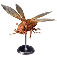 マオウカレハカマキリ雌 立体標本 魔王枯葉 ラスト1 - メルカリ