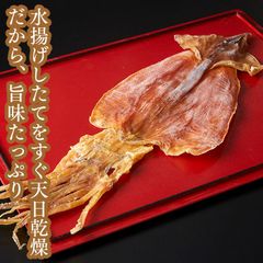 【常温】送料込み：松前(前浜)するめ。生きたままを生干しで鮮度抜群！ 本物の「するめ」を味わいたい方に。たっぷり５杯入り
