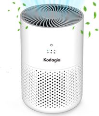 空気清浄機 3段風量調節 5V2A充電器対応 除菌 花粉対策