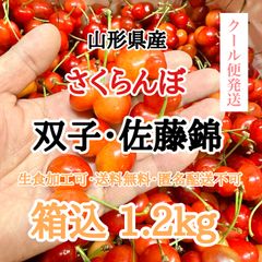 【クール便】山形県産 さくらんぼ 双子 佐藤錦 箱込 1.2kg 紅秀峰