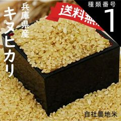 R7年産◎低農薬【特別栽培米】あきたこまち玄米1.8kg - メルカリ