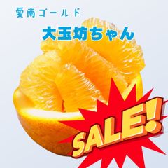 大玉坊ちゃん‼️愛媛愛南町産　樹齢20年以上　農薬栽培期間中不使用　愛南ゴールド8kg