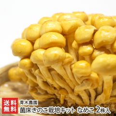 菌床きのこ栽培キット なめこ 2株入り
