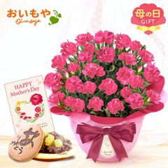 【おいもや公式】母の日限定 5号 カーネーション【マカロンフレーズ】 どら焼き スイーツ 和菓子 お菓子 鉢植え プレゼント 生花 花 ピンク おしゃれ かわいい (お届け時期:5/5～11のいずれか)