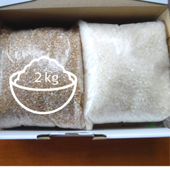 玄米＋白米 ２㎏ ※箱重量込 福岡県産 夢つくし