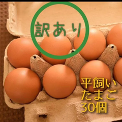 訳あり 平飼い卵 10個入り3パック 国産もみじの卵 新鮮 産みたて