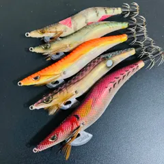 2025年最新】カンジインターナショナル クリックス プロスペック