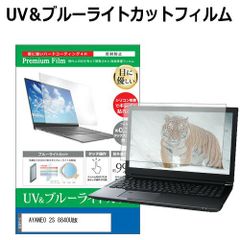 AYANEO 2S 8840U版 [7インチ] 保護 フィルム カバー シート ブルーライトカット 反射防止 指紋防止 液晶保護フィルム メール便送料無料 bgt