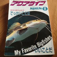 月間アクアライフ【中古】1992年月8号【創刊13周年記念号】