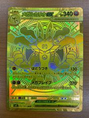 ポケモンカード ウォロ トレーナーズ HR 093/071 s10a ウォロ HR S10a 093/071
