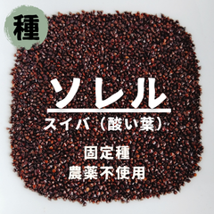 【種】ソレル　スイバ（酸い葉）　農薬不使用　400粒